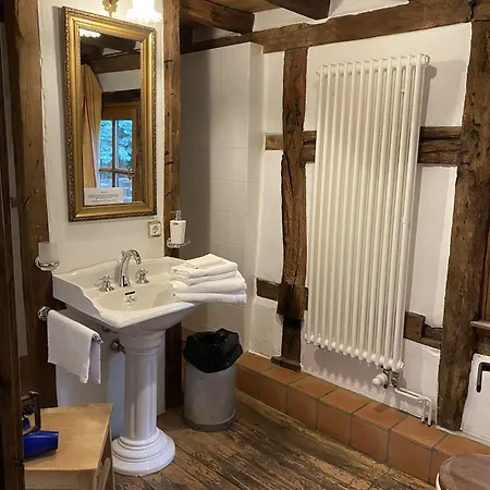 Historische Wassermuehle Otel 3*