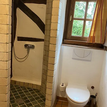 Historische Wassermuehle 3* Birgel