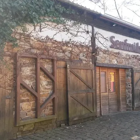 Szálloda Historische Wassermuehle 3*