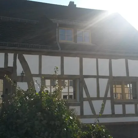 Historische Wassermühle 3* Birgel